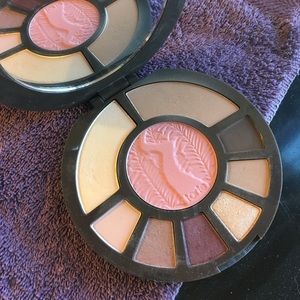 Tarte Rainforest After Dark colored clay palette